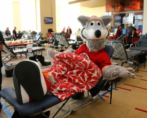 Community Blood Center: KC Wolf Donating at Arrowhead Stadium